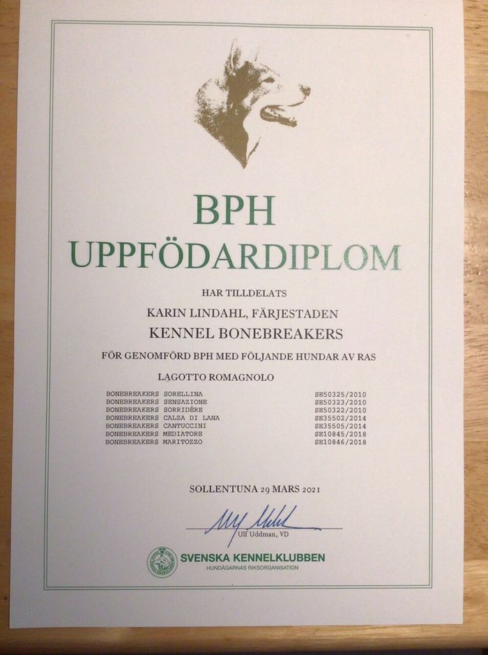 Kennel Bonebreakers har erhållit BPH diplom idag 7/4. Så stolt över mina Bonebreakershundar och deras ägare. 